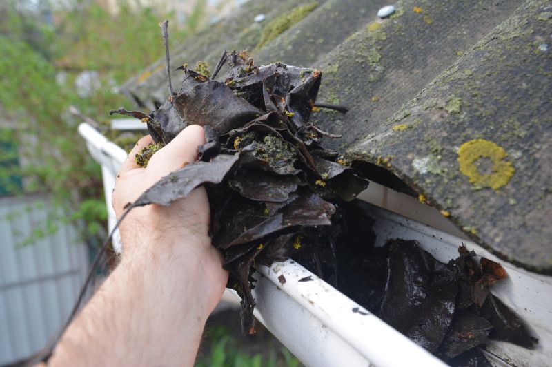 Clogged Gutter Clearing in Richmond, VA