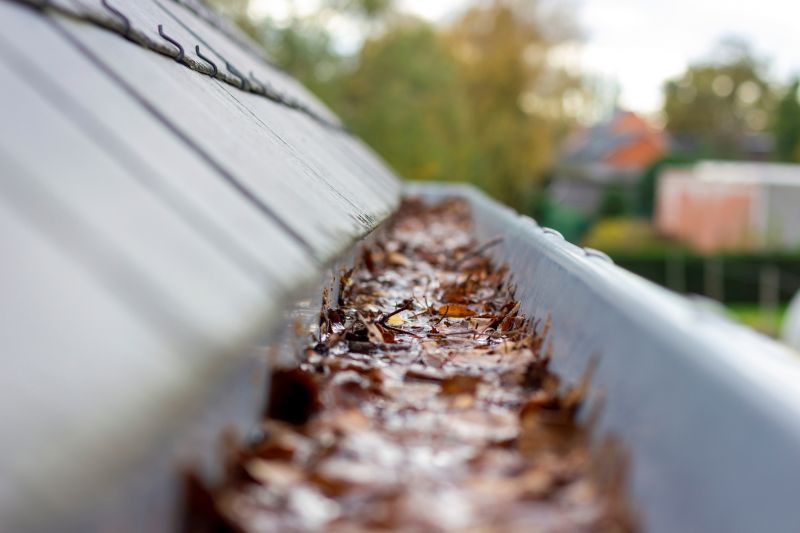 Commercial Gutter Unclogging in Denver, CO