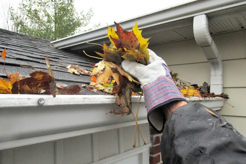 Eavestrough Clearing in Baltimore, MD