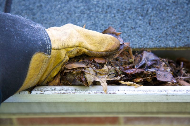 Gutter Cleaning in Arvada, CO
