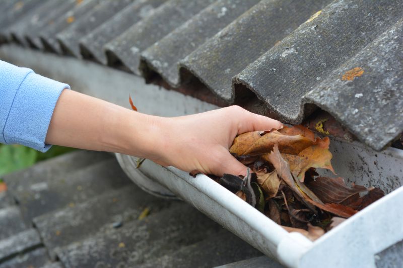 Gutter Leaf Clearing in Annapolis, MD