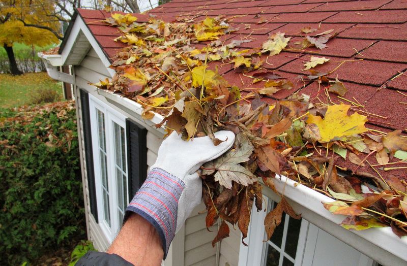 Gutter Leaf Clearing in Richmond, VA