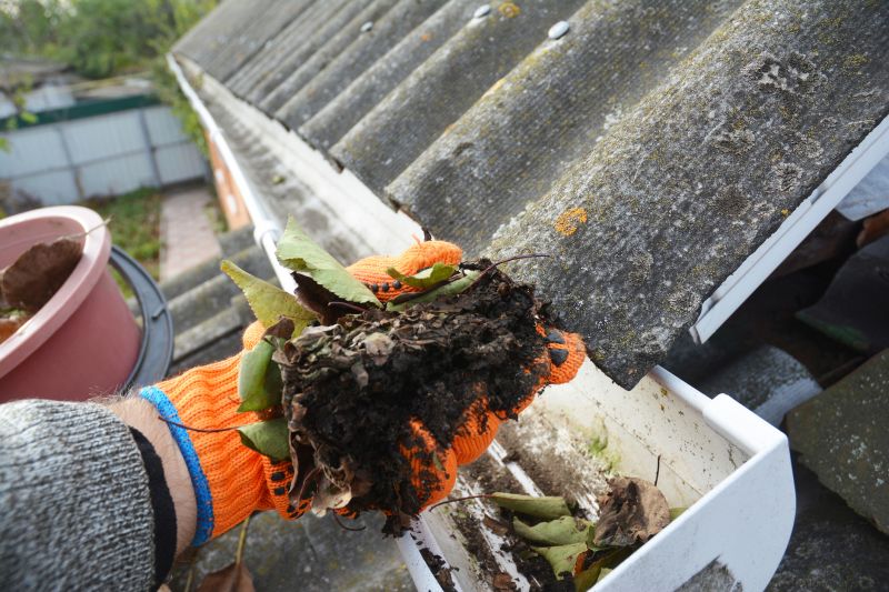 Gutter Leaves Removal in Rochester, NY