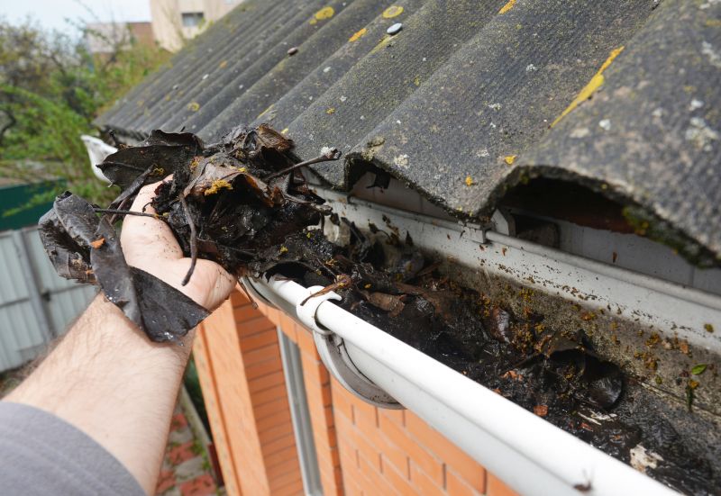Gutter Leaves Removal in Monmouth County, NJ