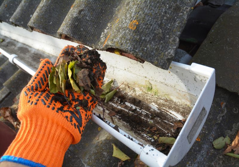 Gutter Maintenance in Fredericksburg, VA