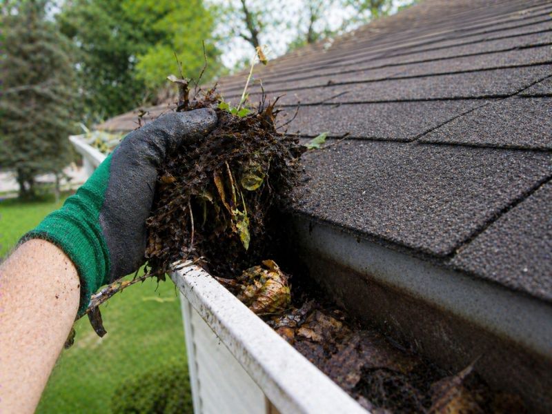 Gutter Pine Needle Removal in Bergen County, NJ