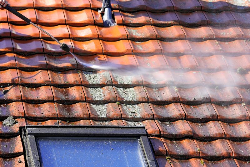 Roof Dirt Removal in Vancouver, WA