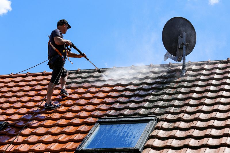 Roof Dirt Removal in Vancouver, WA