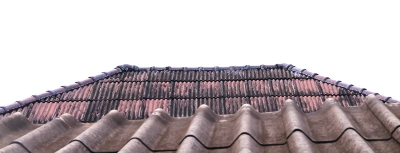 Roof Stain Removal in Vancouver, WA