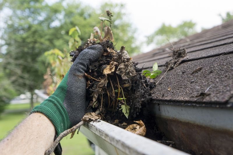 Clogged Gutter Clearing in Fredericksburg, VA