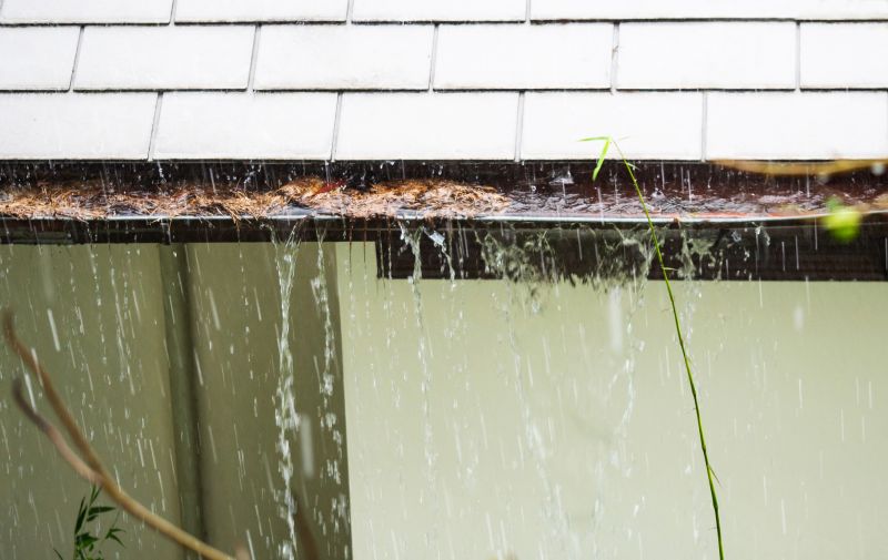 Downspout Blockage Removal in Frederick, MD